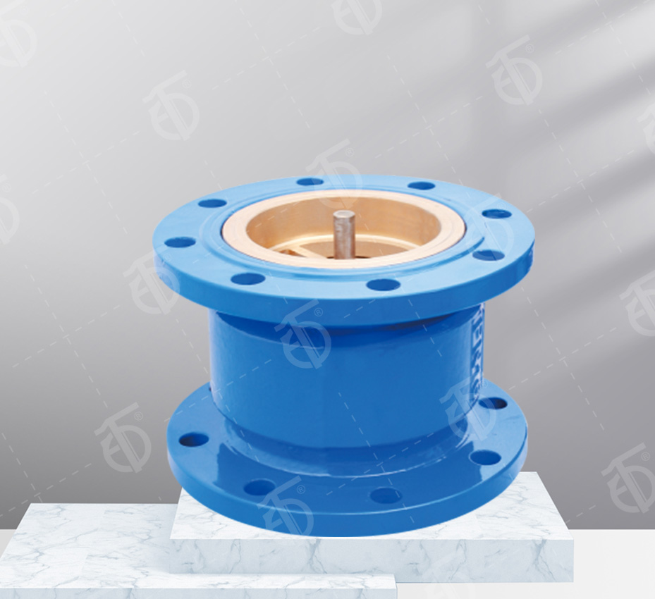 Noise elimination check valve