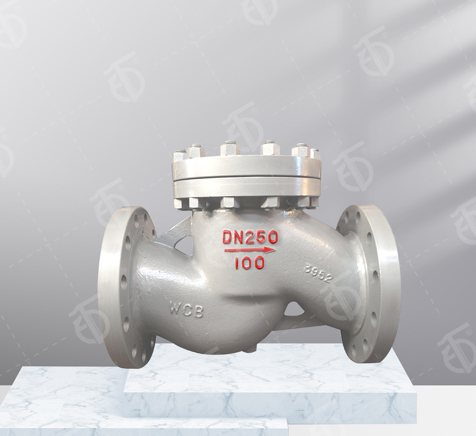 Cast steel check valve